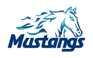 Mustangs Team Spirit